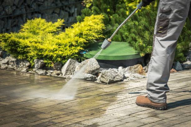 Pre-Holiday Cleaning in Burbank, WA